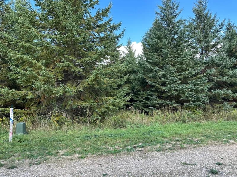 26795 Lidstrom Road, Detroit Twp, MN - Image 1